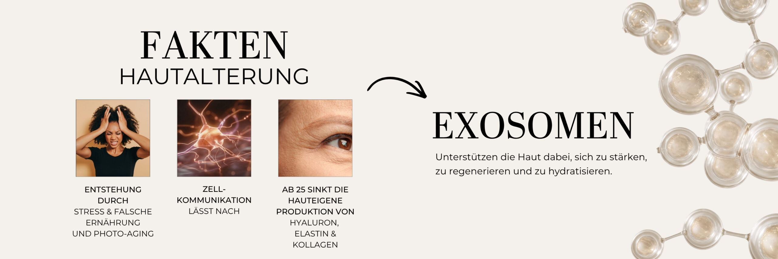 Exocell_Exosomen_de_2