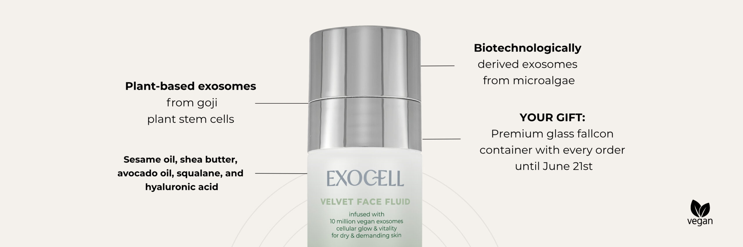 Exocell_Exosomes_en_3
