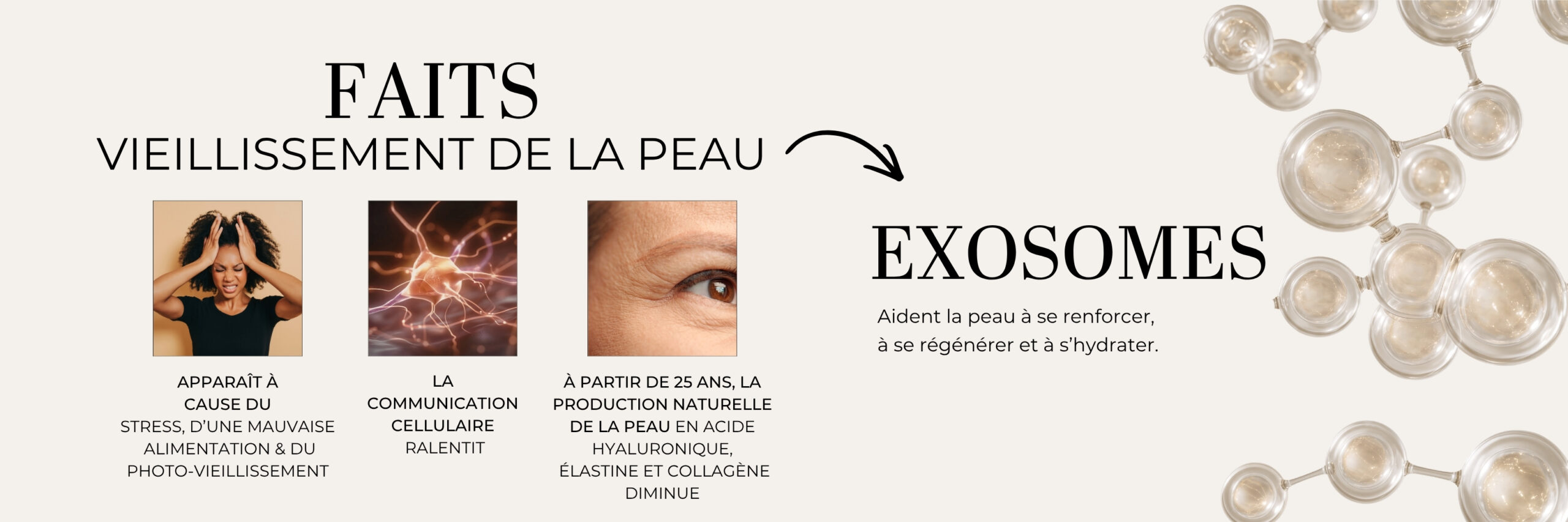 Exocell_Exosomes_fr_2