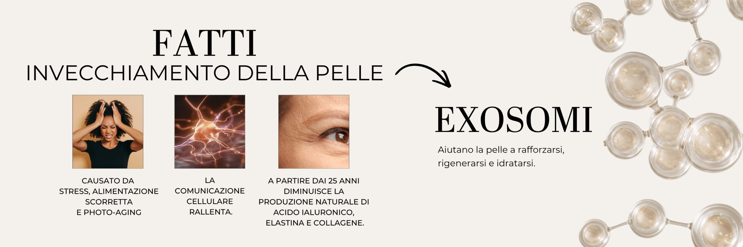 Exocell_Exosomi_it_2